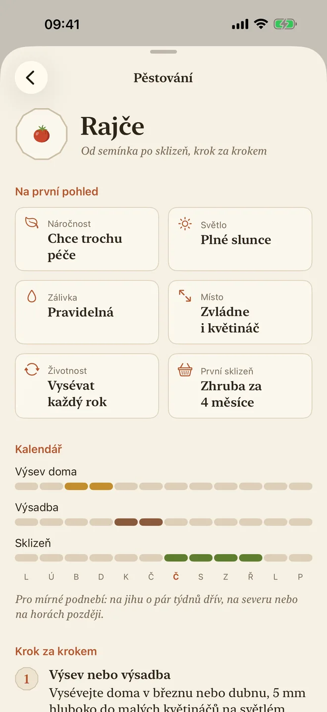 Návod k pěstování rajčat: obtížnost, světlo, zalévání a kalendář setí