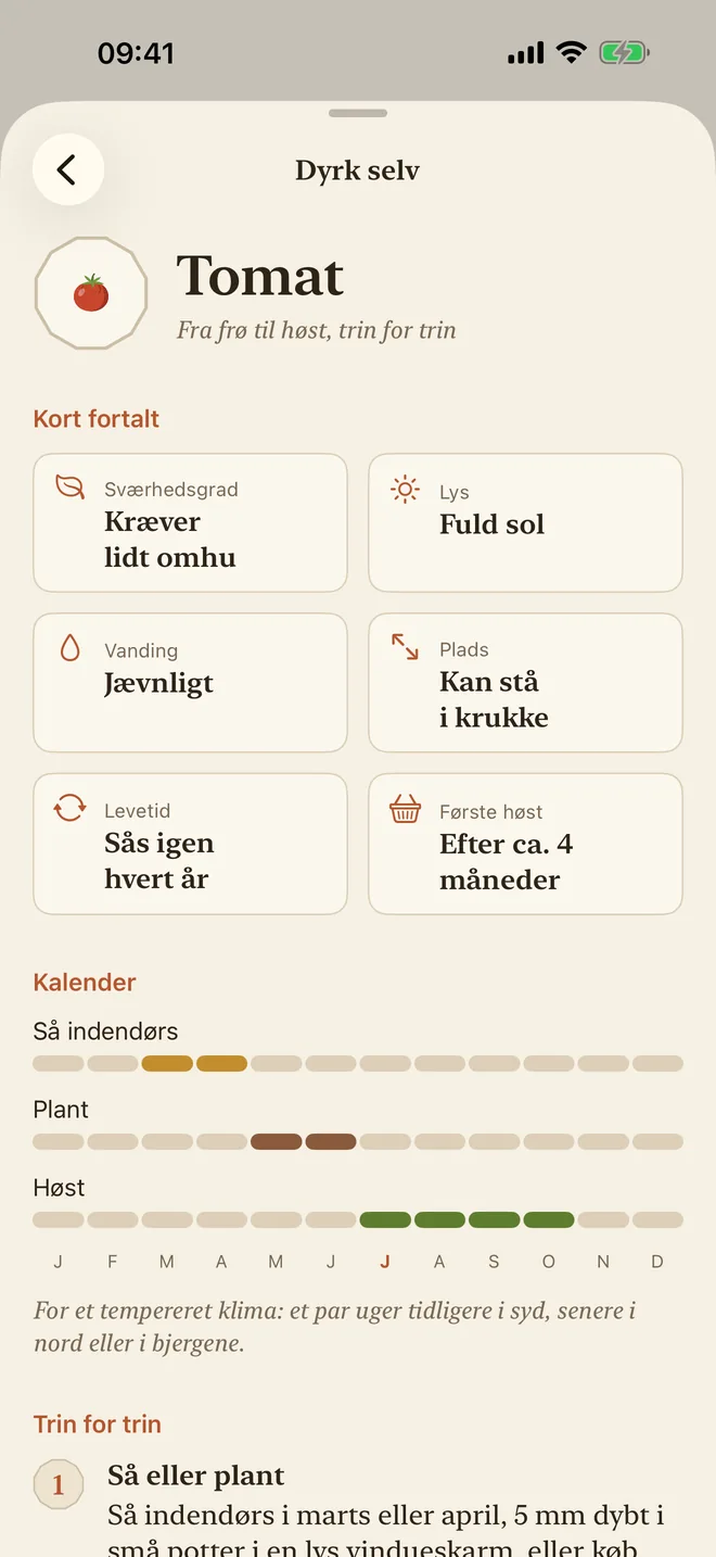 Dyrkningsguiden til tomater: sværhedsgrad, sol, vanding og en såkalender