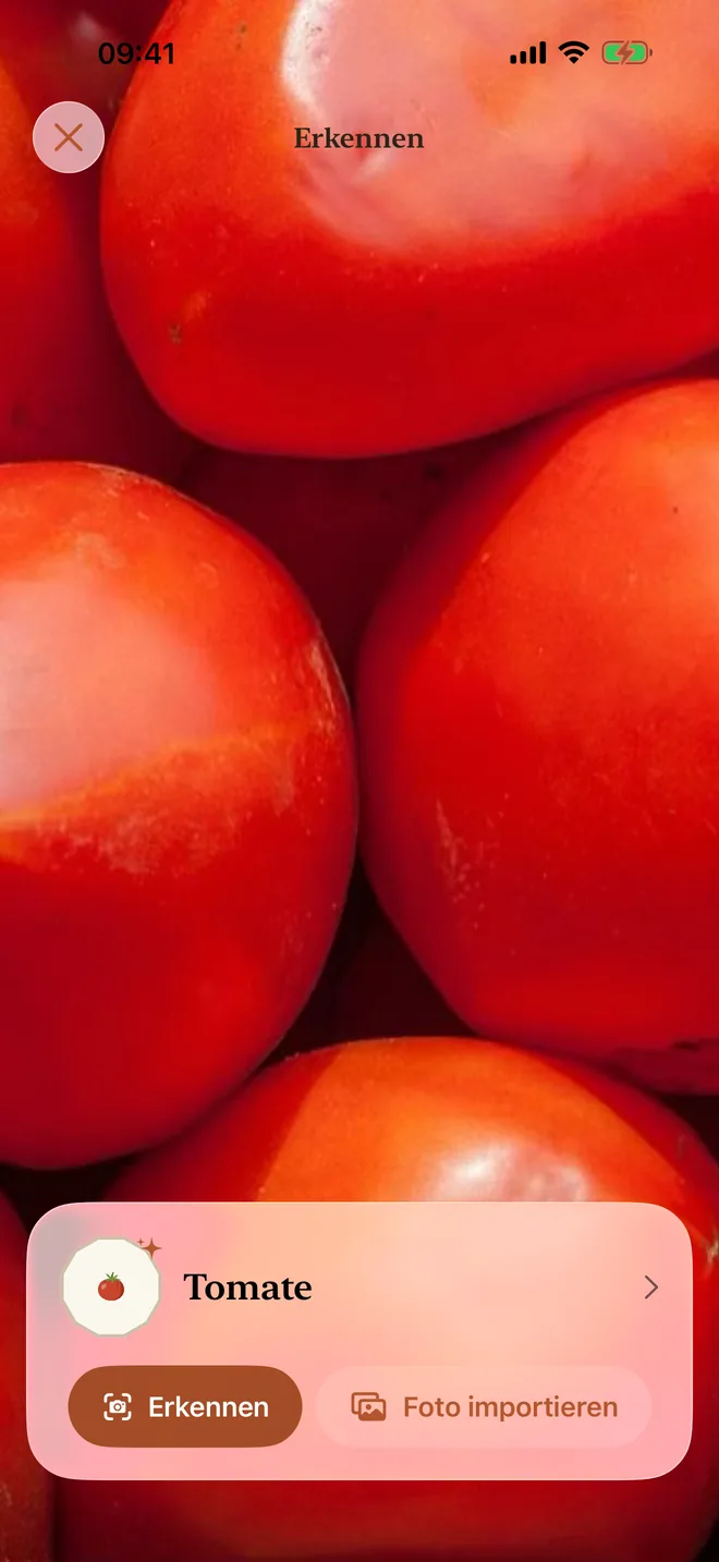 Die Kamera erkennt eine Tomate