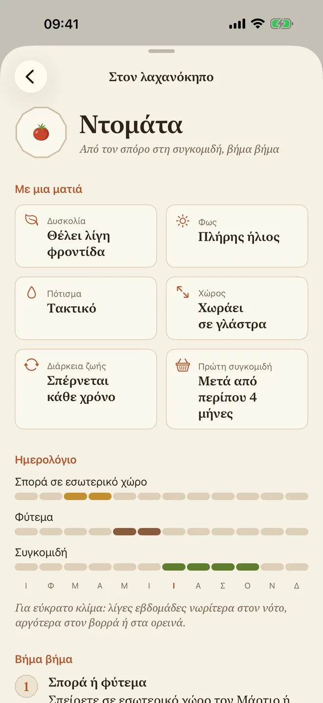 Ο οδηγός καλλιέργειας της ντομάτας: δυσκολία, φως, πότισμα και ημερολόγιο σποράς