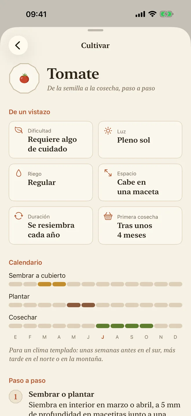 La guía de cultivo del tomate: dificultad, luz, riego y calendario de siembra