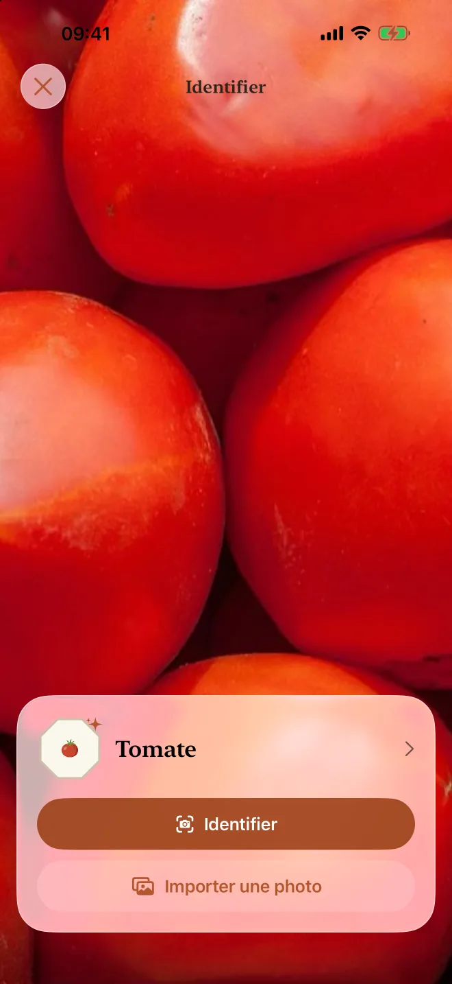 L’identification d’un produit avec l’appareil photo