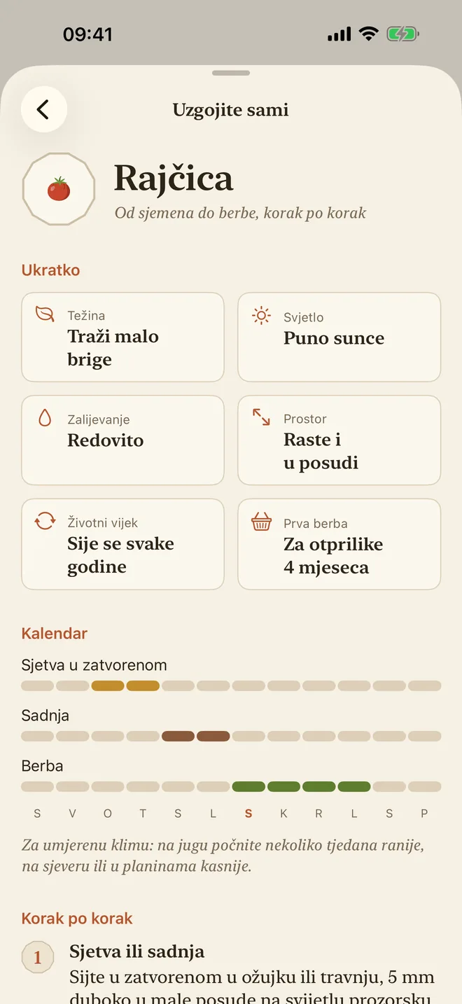 Vodič za uzgoj rajčice: zahtjevnost, svjetlo, zalijevanje i kalendar sjetve