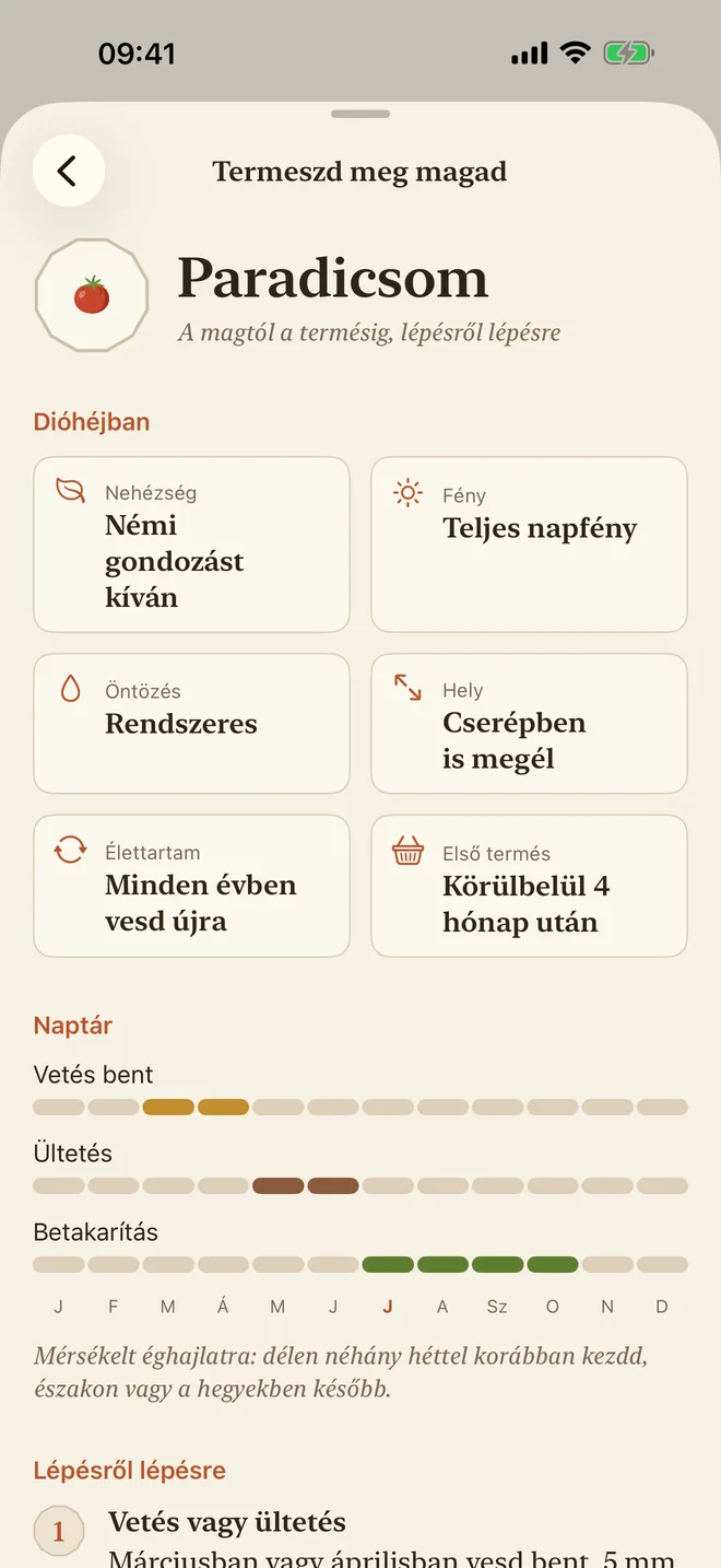 A paradicsom termesztési útmutatója: nehézség, fény, öntözés és vetési naptár