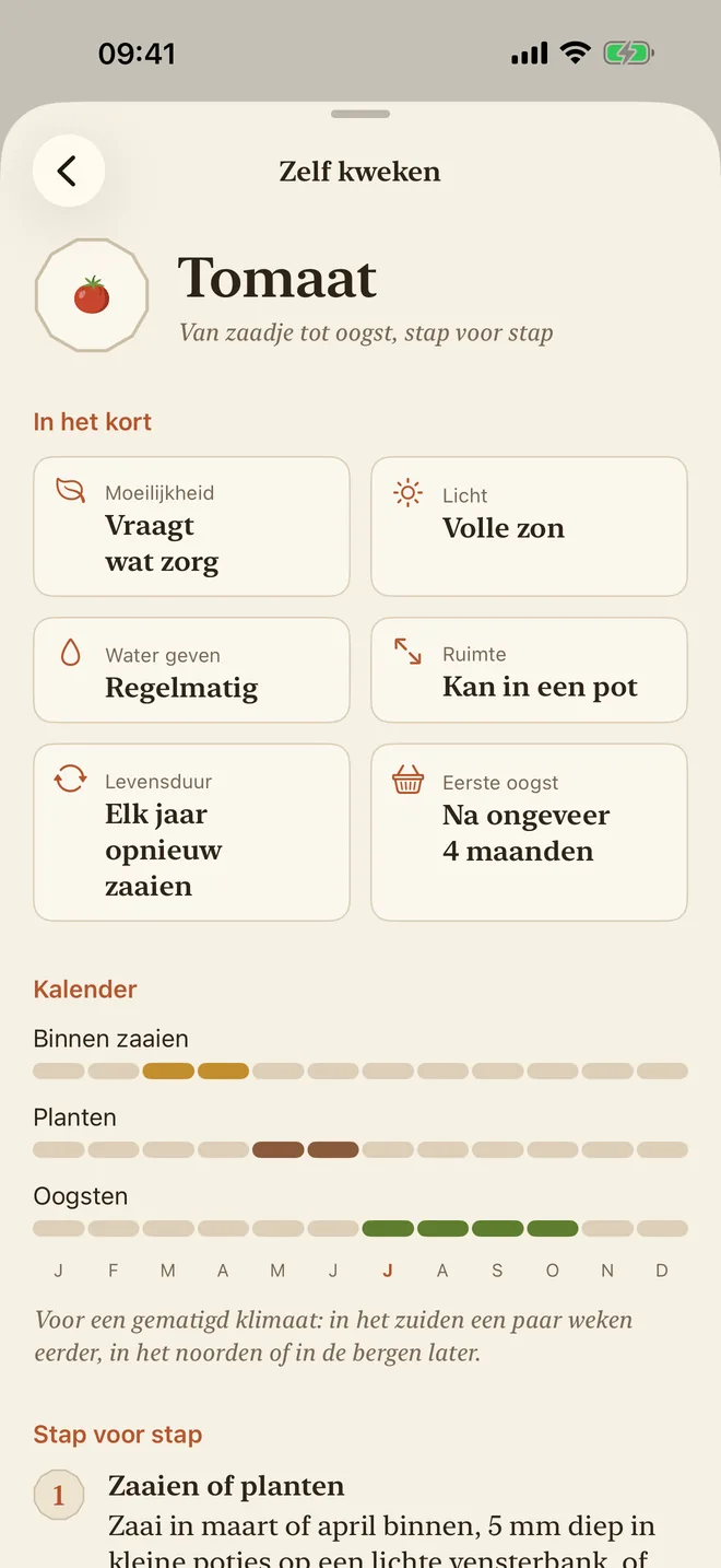 De kweekgids voor tomaten: moeilijkheid, licht, water geven en een zaaikalender