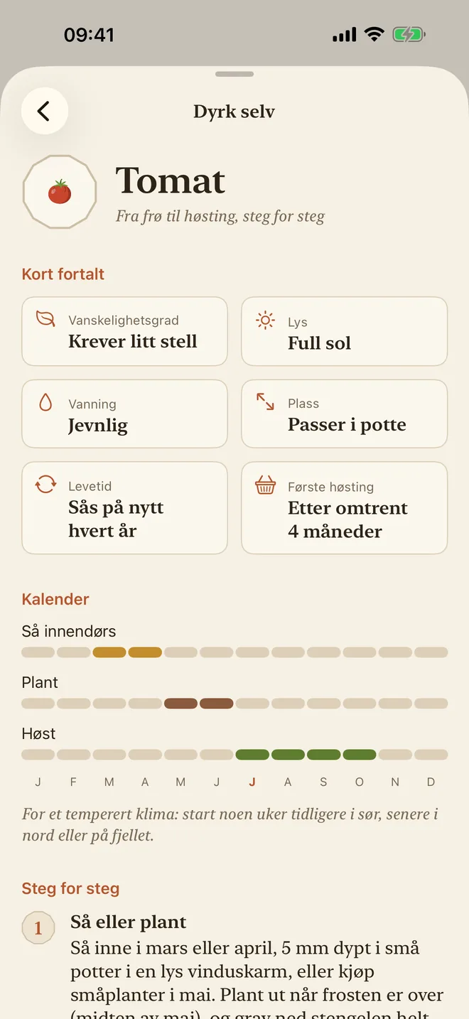 Dyrkingsguiden for tomater: vanskelighetsgrad, sol, vanning og en såkalender