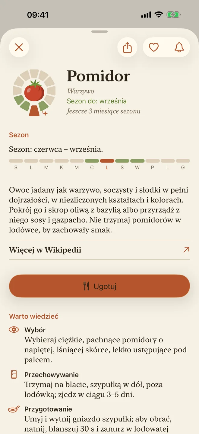 Strona pomidora z jego sezonem i opisem
