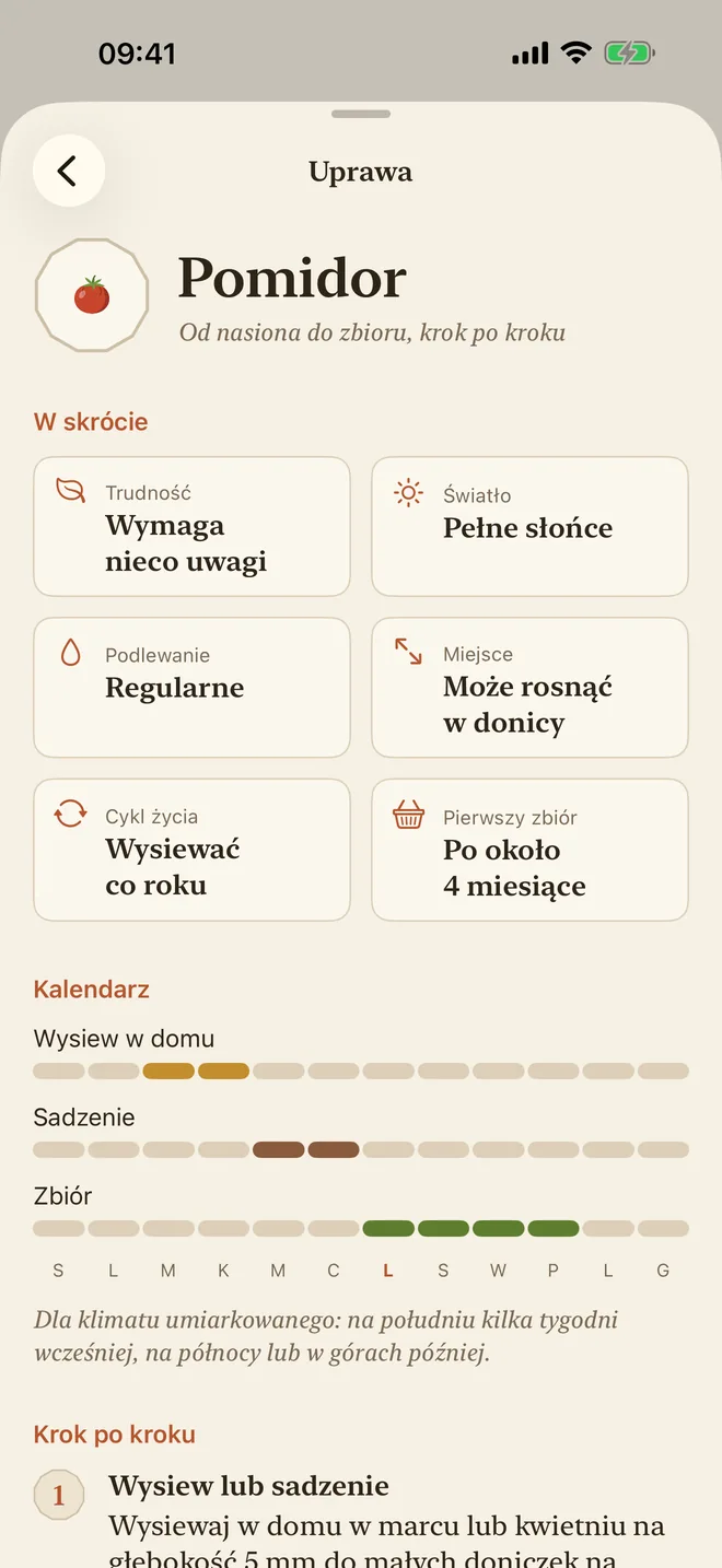 Poradnik uprawy pomidorów: trudność, światło, podlewanie i kalendarz siewu