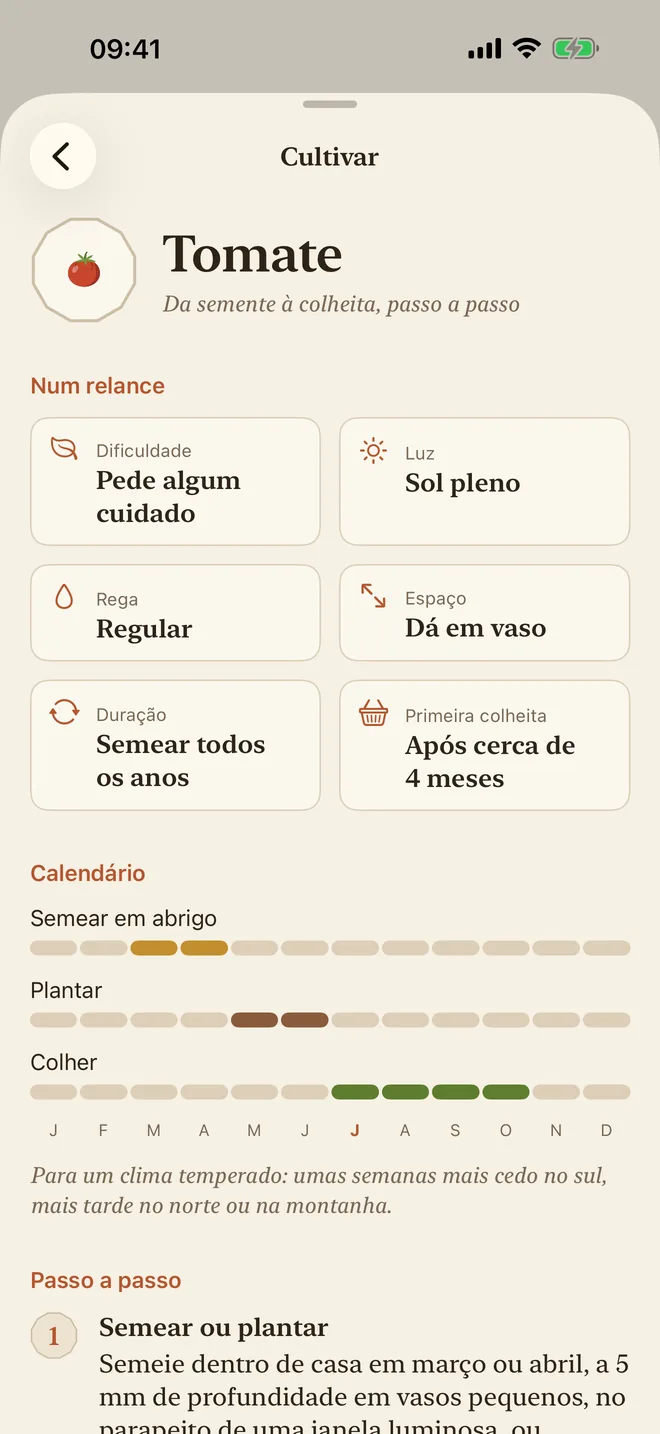 O guia de cultivo do tomate: dificuldade, luz, rega e calendário de sementeira