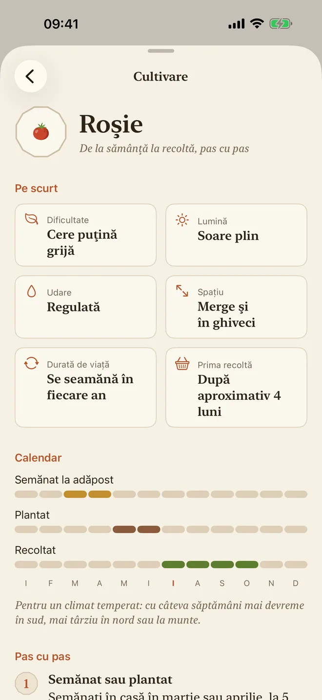 Ghidul de cultivare a roșiilor: dificultate, lumină, udare și calendar de semănat
