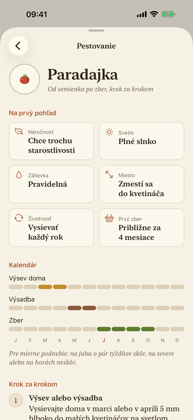 Návod na pestovanie paradajok: náročnosť, svetlo, polievanie a kalendár siatia