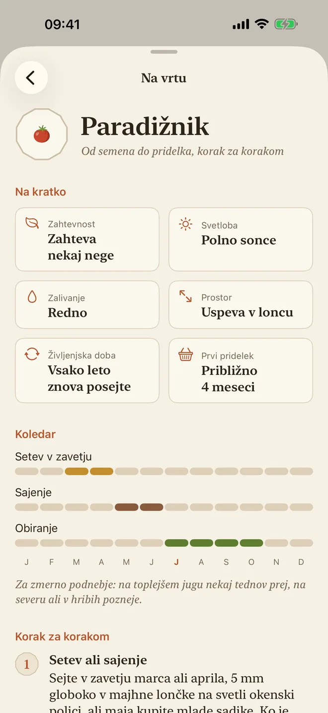 Vodnik za pridelavo paradižnika: zahtevnost, svetloba, zalivanje in koledar setve