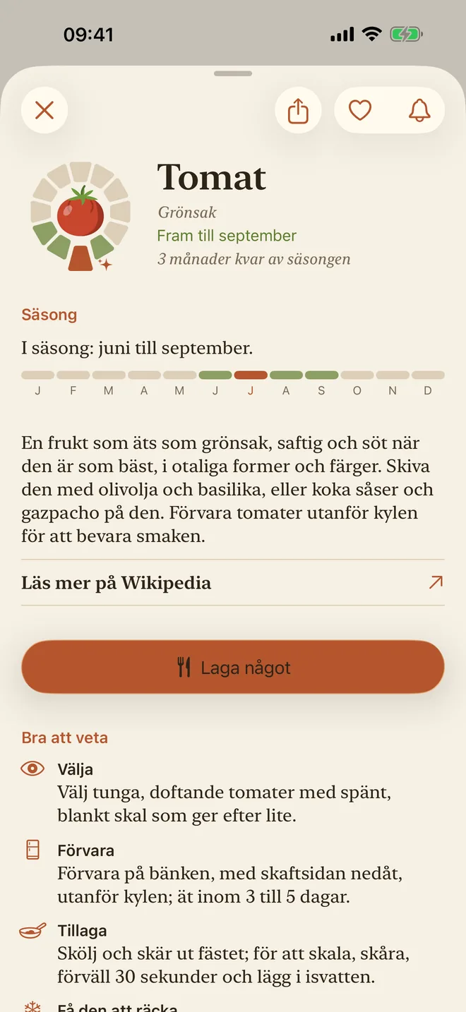 Tomatens sida, med säsong och beskrivning