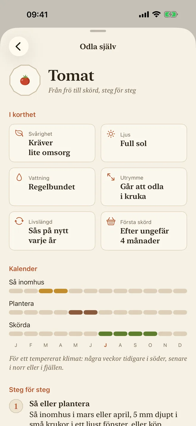 Odlingsguiden för tomater: svårighetsgrad, ljus, vattning och såddkalender